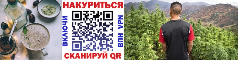 Еда ТГК конопля  мориарти телеграм  Владимир 
