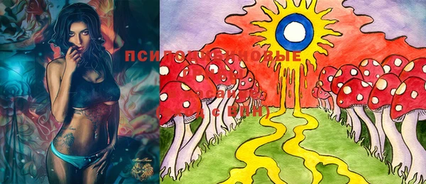 MDMA Premium VHQ Вяземский