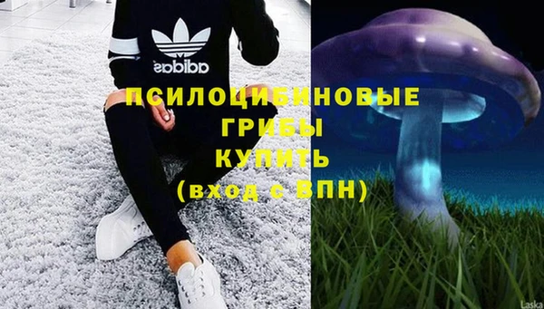 ALPHA-PVP Вязники