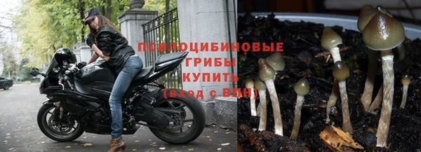 ПСИЛОЦИБИНОВЫЕ ГРИБЫ Володарск