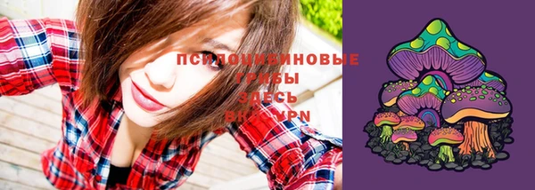 ПСИЛОЦИБИНОВЫЕ ГРИБЫ Володарск