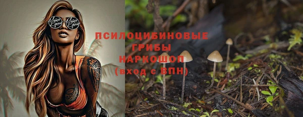 ГАЛЛЮЦИНОГЕННЫЕ ГРИБЫ Волоколамск