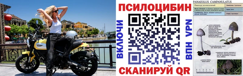 где купить наркоту  МЕГА ONION  Галлюциногенные грибы мухоморы  Владимир 